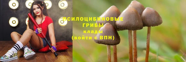 а пвп мука Кукмор