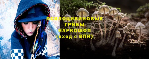 а пвп мука Кукмор