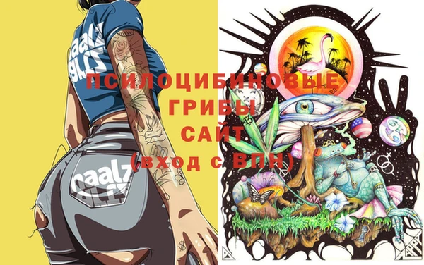 стаф Куйбышев