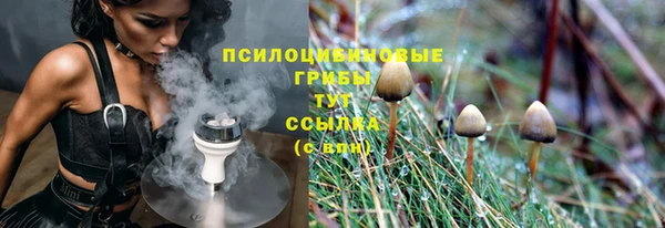 а пвп мука Кукмор