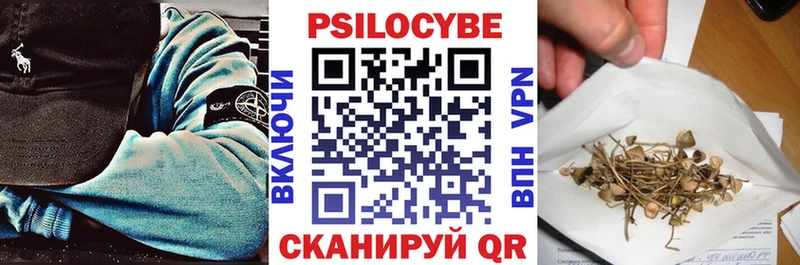 Купить  Питкяранта  Псилоцибиновые грибы GOLDEN TEACHER 
